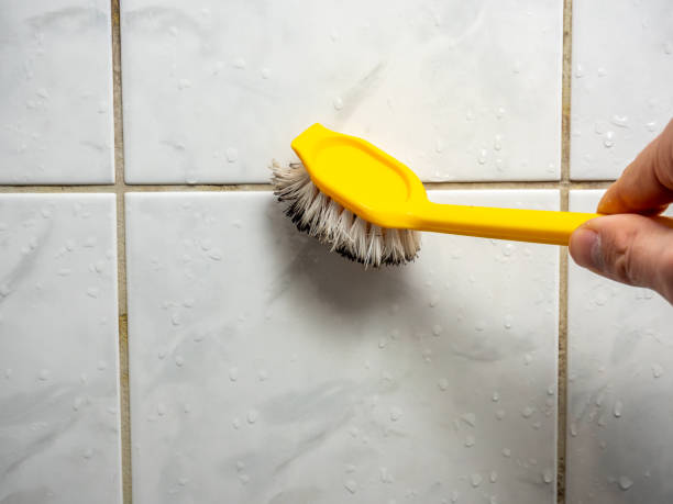 Best Toxic Mold Removal  in Lake Park, IA