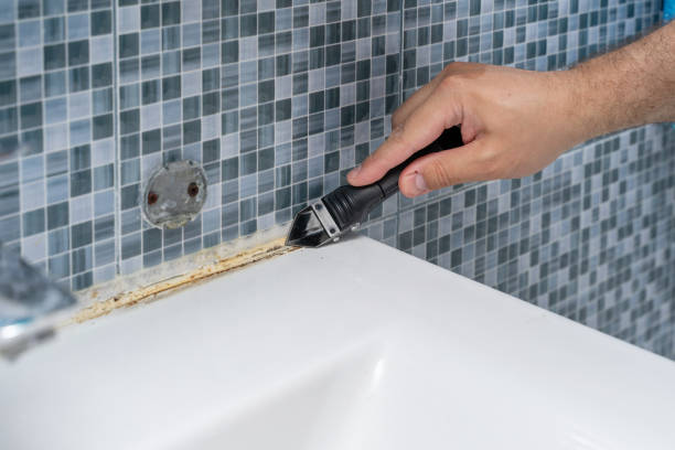 Best Mold Cleaning Services  in Lake Park, IA